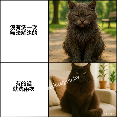 洗/潤/護髮乳、防曬乳等 ➤ 單筆滿359現折30元