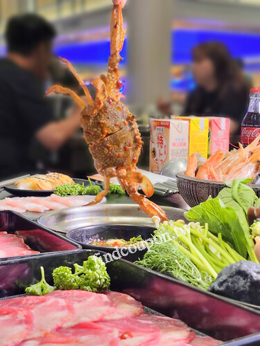 南崁店，打卡+五星好評，就送「巨無霸帆立貝」1顆