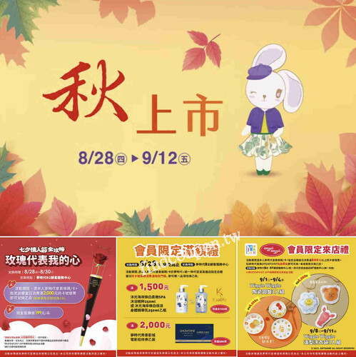 8/28起~消費達指定門檻即可兌換乙朵進口空運玫瑰花