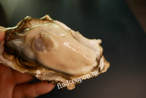 平日來千葉火鍋開鍋就送生蠔每人乙顆，4位成人同行、預約加碼送