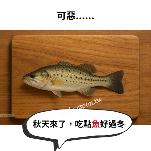 購買指定國產魚，單筆滿200元現折20元，300元現折40元(不累折)